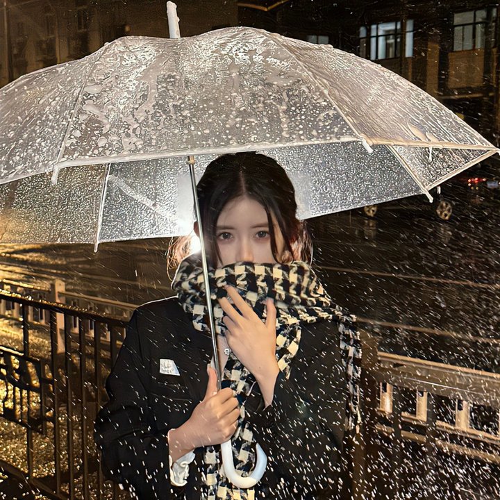 红发少女安妮